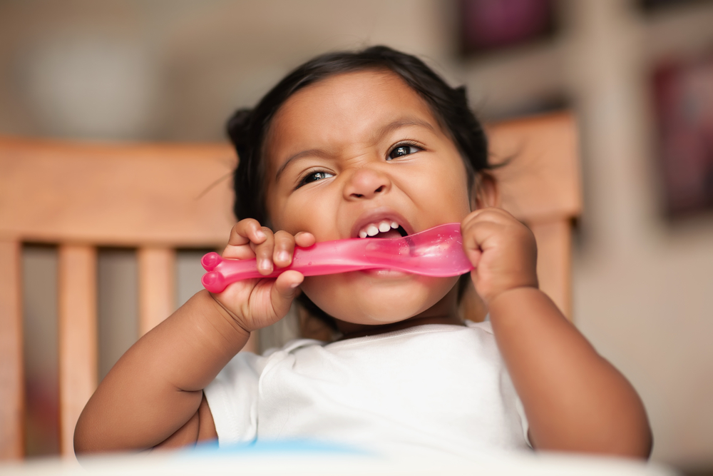 Toddler Biting Explained: How Bloomington Parents Can Navigate This Normal Stage of Development